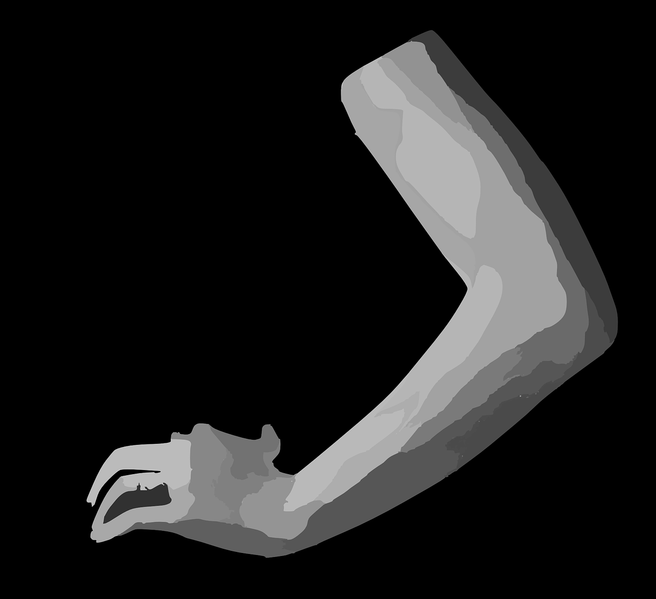 arm-body-part-human-312020 arm, body part, human-312020.jpg